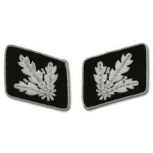 SS Officer Bullion Collar Tabs - Brigadefuhrer